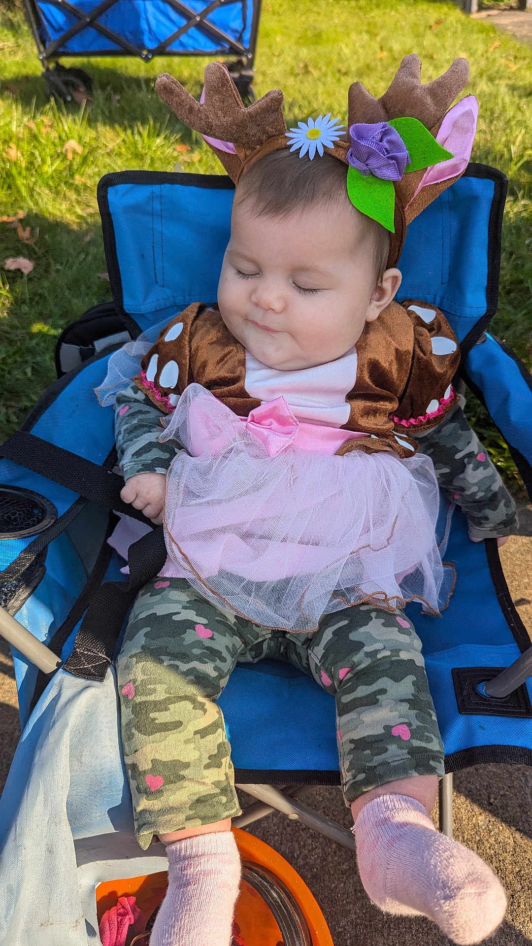 Alaska joined the competition — help win amazing prizes! baby, chair, clothing, cushion, face, footwear, furniture, grass, hat, head, homedecor, hosiery, outdoors, pants, person, photography, plant, portrait, sitting, sock