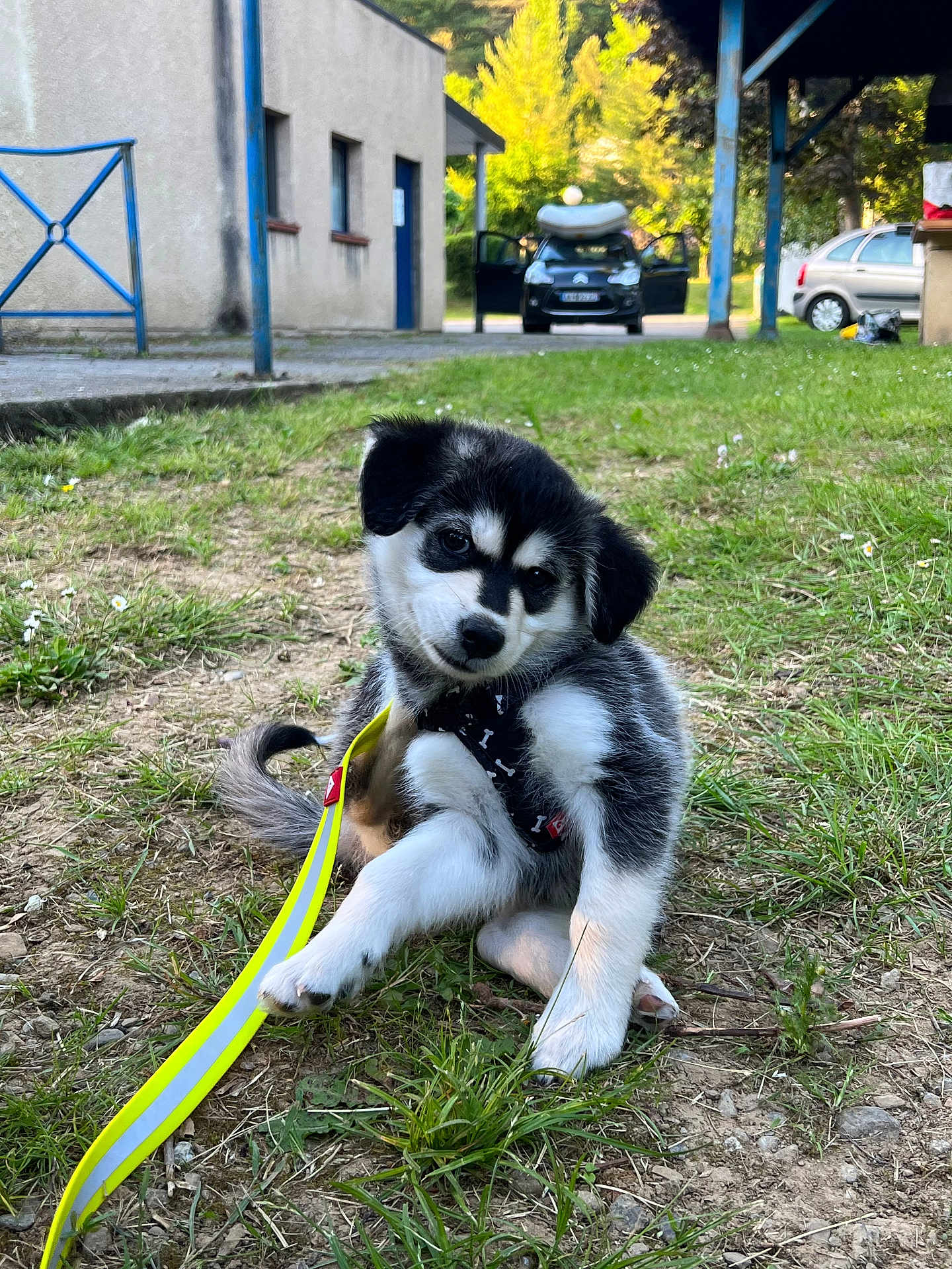 Nana