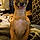 Zoey