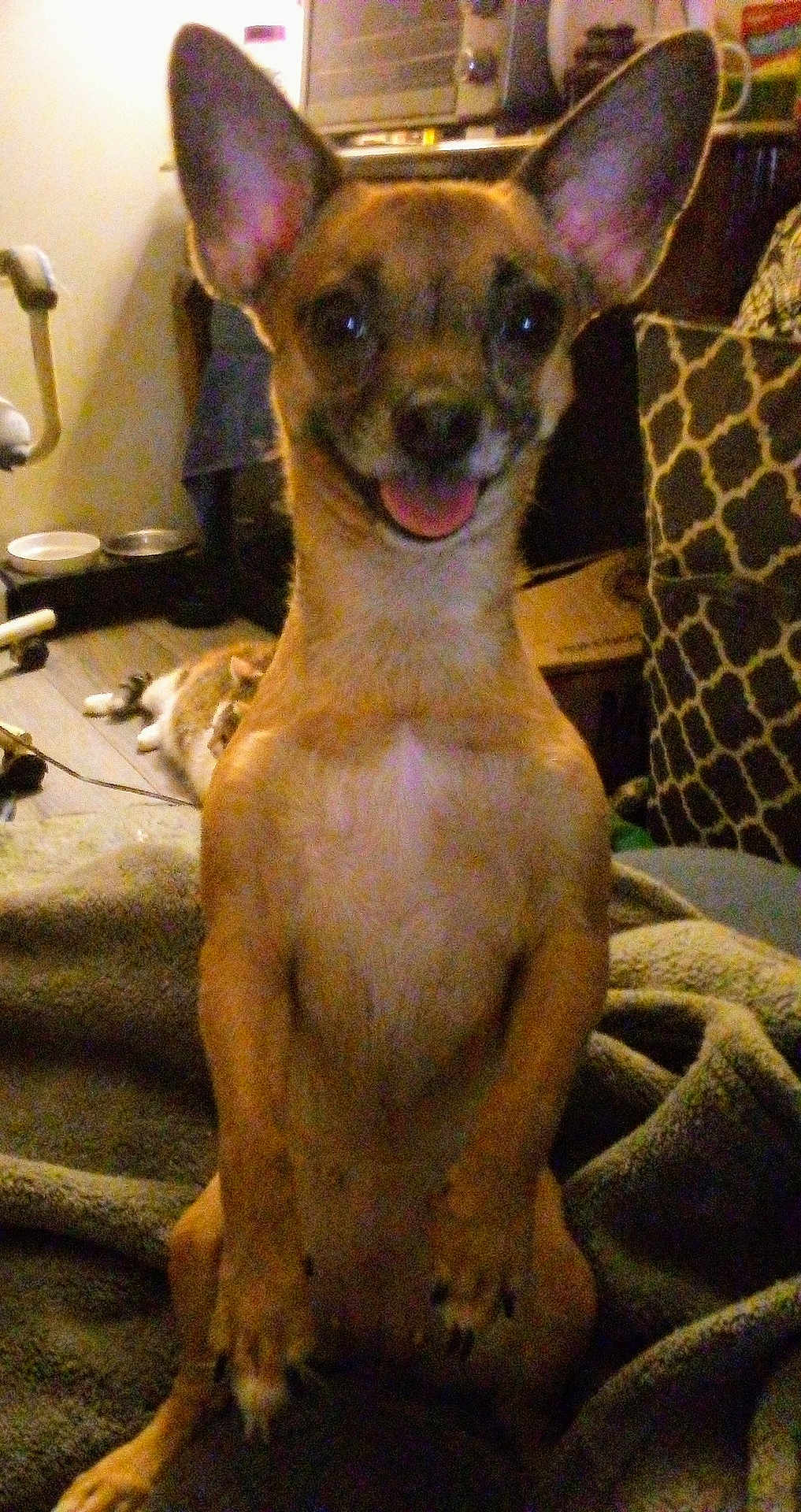 Zoey