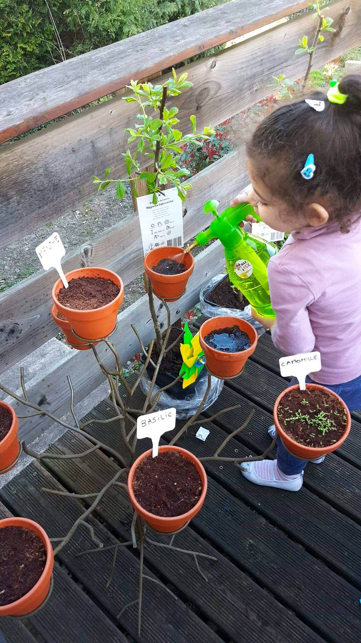 Diana participe au concours pour gagner de l'argent avec cette photo : food, herb, person, plant, soil, tomato