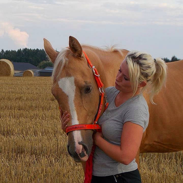 Kalato a rejoint le concours — aidez-le/la à gagner de superbes lots ! bridle, grassland, halter, horse, horse_supplies, horse_tack, liver, livestock, mammal, mane, mare, rein, riding_instructor, snout, sorrel, stallion