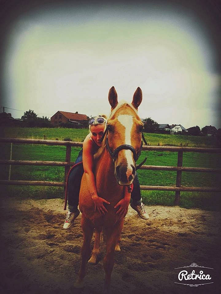 Kalato participe au concours pour gagner de l'argent avec cette photo : beauty, bridle, cool, horse, landscape, livestock, mammal, mane, mare, mustang_horse, nose, organism, photography, ranch, rein, rural_area, sky, sorrel, stallion, stock_photography