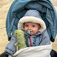 Andrea participe au concours pour gagner de l'argent avec cette photo : baby, baby_carriage, blanket, bundle, child, cozy, cute, dinosaur_toy, happy, hood, infant, jacket, outdoor, pacifier, pavement, person, plush_toy, smiling, stroller, warm_clothing