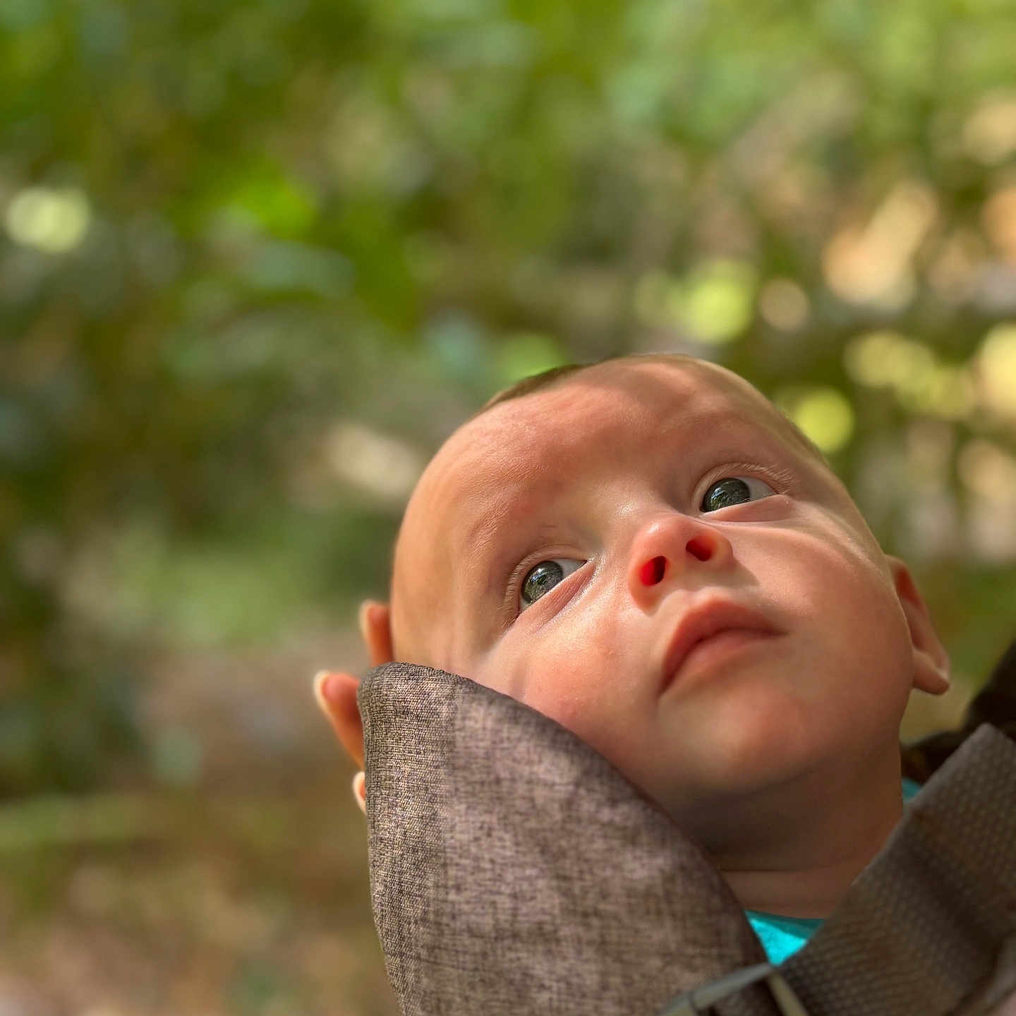 Andrea a rejoint le concours — aidez-le/la à gagner de superbes lots ! baby, baby_carrier, babywearing, child, closeup, curious, expression, eyes, face, focus, greenery, head, infant, nature, outdoor, person, portrait, skin, soft_light, young