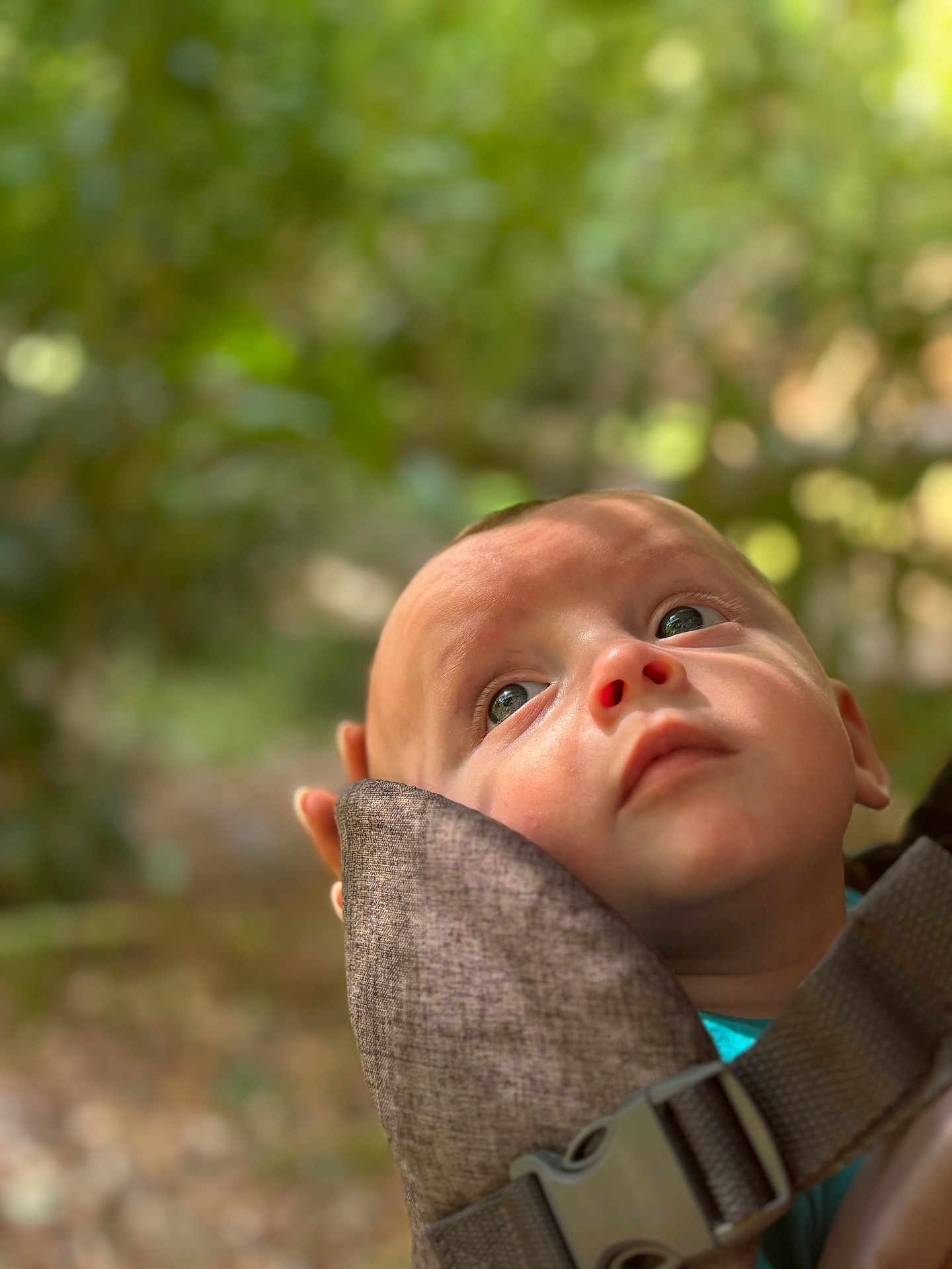 Andrea a rejoint le concours — aidez-le/la à gagner de superbes lots ! baby, infant, face, eyes, baby_carrier, outdoor, nature, greenery, closeup, portrait, child, head, person, soft_light, expression, curious, skin, young, babywearing, focus