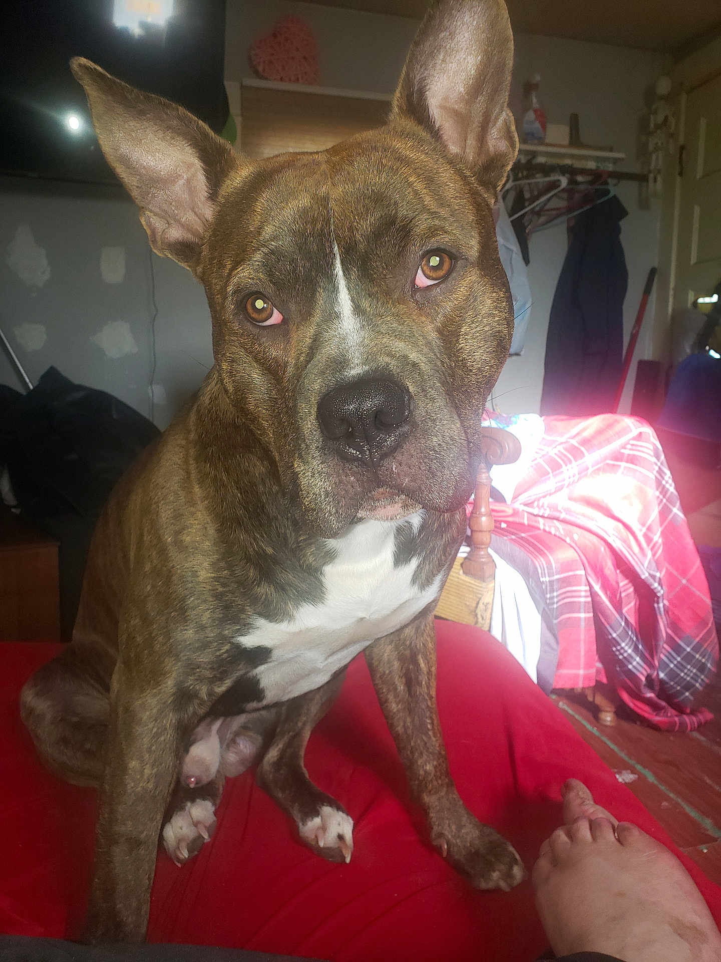 Rukus