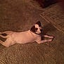 Mylie is registered to the contest to win money with this photo: