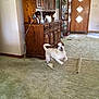 Mylie is registered to the contest to win money with this photo: