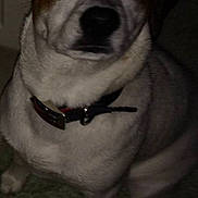 Mylie is registered to the contest to win money with this photo: