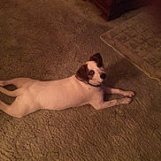 Mylie is registered to the contest to win money with this photo: