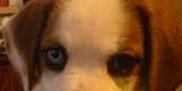 Mylie is registered to the contest to win money with this photo: