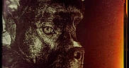 Harley is registered to the contest to win money with this photo: animal, canine, close_up, dog, expression, face, film_grain, fur, indoor, looking_away, muzzle, nostalgic, pet, portrait, sepia, soft_light, texture, vintage, warm_tones