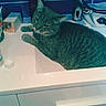 Funzi participe au concours pour gagner de l'argent avec cette photo :