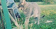 Funzi participe au concours pour gagner de l'argent avec cette photo :