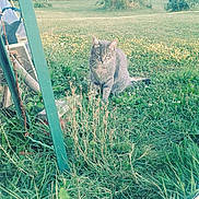Funzi participe au concours pour gagner de l'argent avec cette photo :