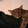 Funzi participe au concours pour gagner de l'argent avec cette photo :