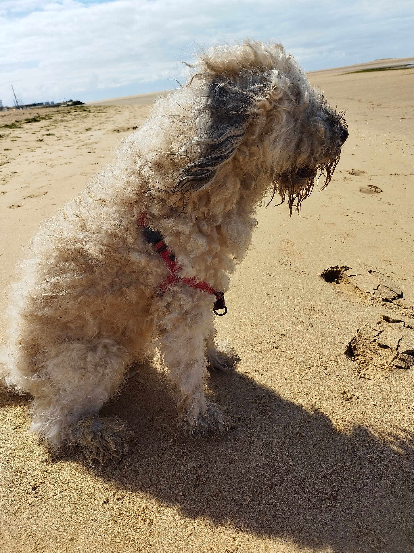 Max
