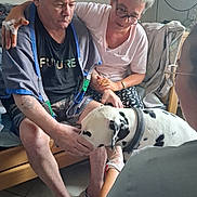 Tao participe au concours pour gagner de l'argent avec cette photo : affection, bed, blanket, casual_clothing, collar, dalmatian, dog, floor_tiles, glasses, grey_hair, hand_holding, indoor, man, petting, seated, shorts, slippers, tattoo, watch, woman