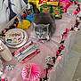 cat, gray_cat, table, party, party_decorations, bow_tie, cat_plates, snacks, chips, flower_garland, pink_tablecloth, party_hats, cat_faces, indoor, floor_tiles, decorative_paper, birthday_party, festive, celebration, animal