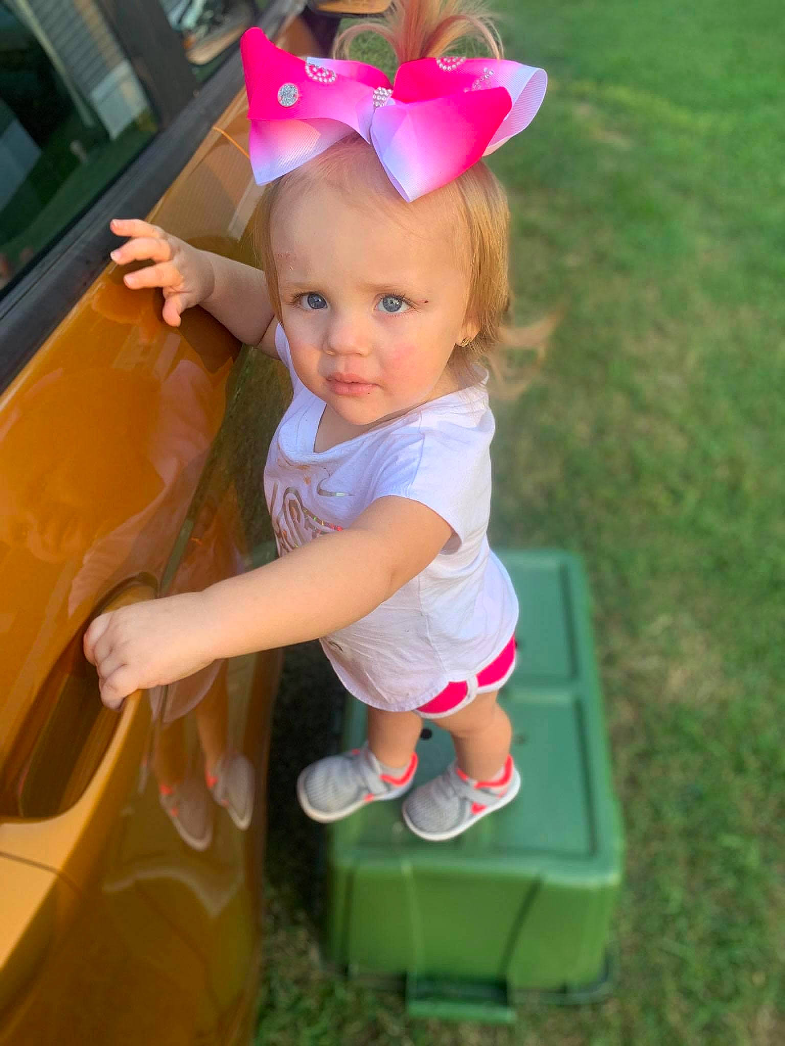 Ainslee is registered to the contest to win money with this photo: baby, baby_products, baby_toddler_clothing, child, dress, fun, grass, green, happy, headband, headpiece, leisure, magenta, people_in_nature, person, pink, recreation, sitting, summer, toddler