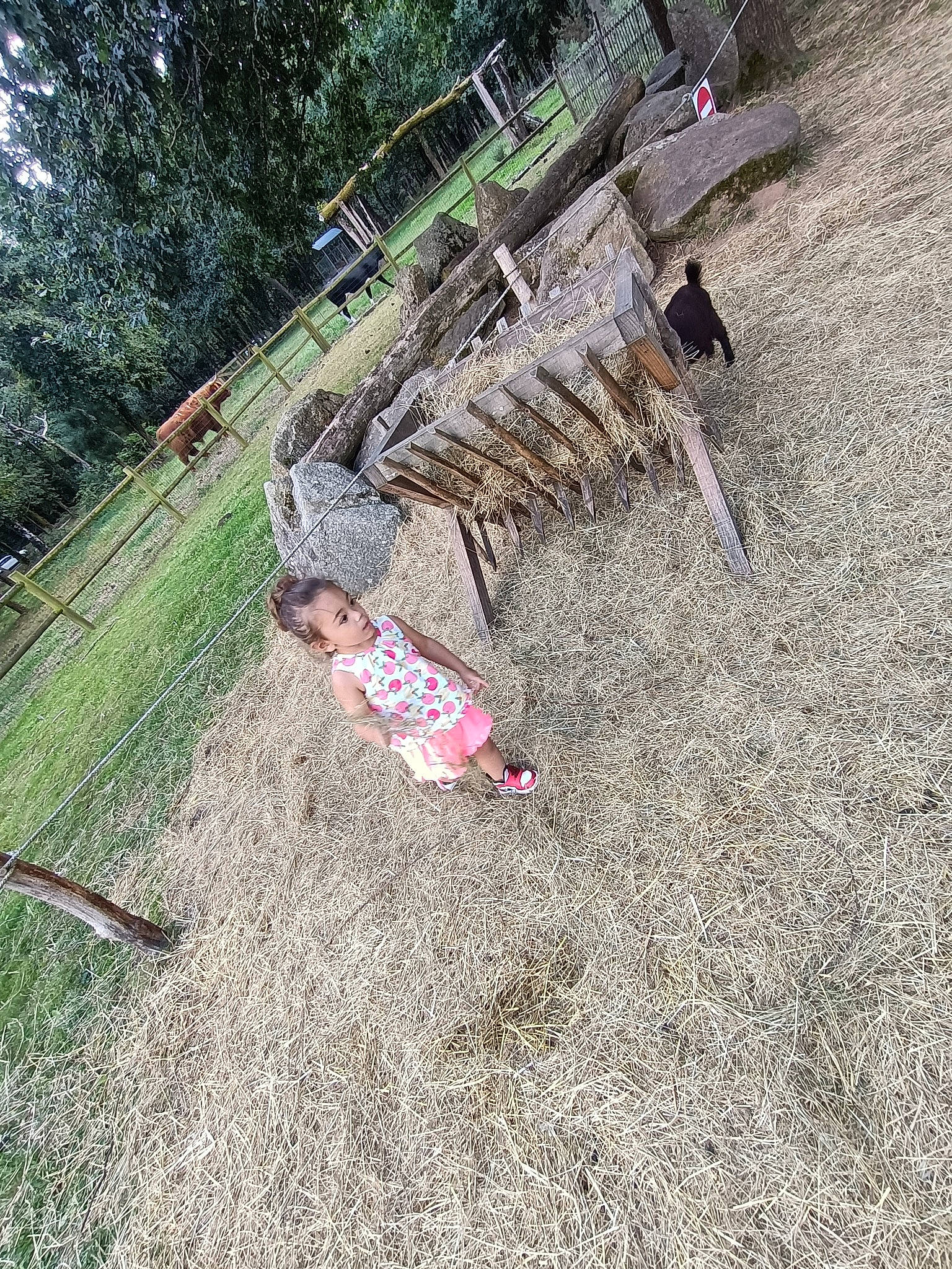 Jannah participe au concours pour gagner de l'argent avec cette photo : asphalt, concrete, font, garden, grass, groundcover, landscape, landscaping, leisure, person, plant, recreation, road_surface, rock, sidewalk, slope, soil, tree, trunk, wood