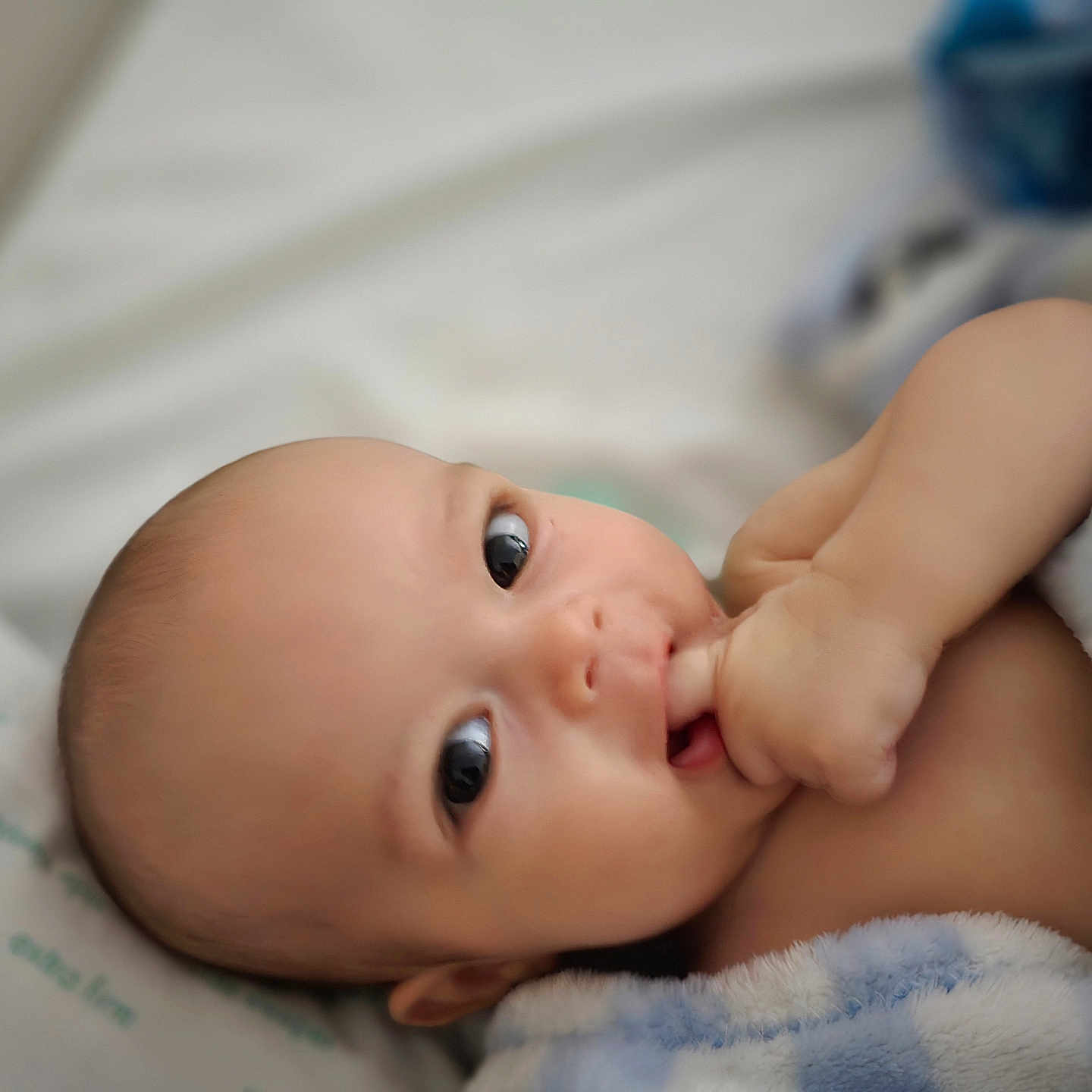 Atlas is registered to the contest to win money with this photo: baby, bed, blanket, bodypart, face, finger, furniture, hand, happy, head, mouth, newborn, person, photography, portrait, smile, towel