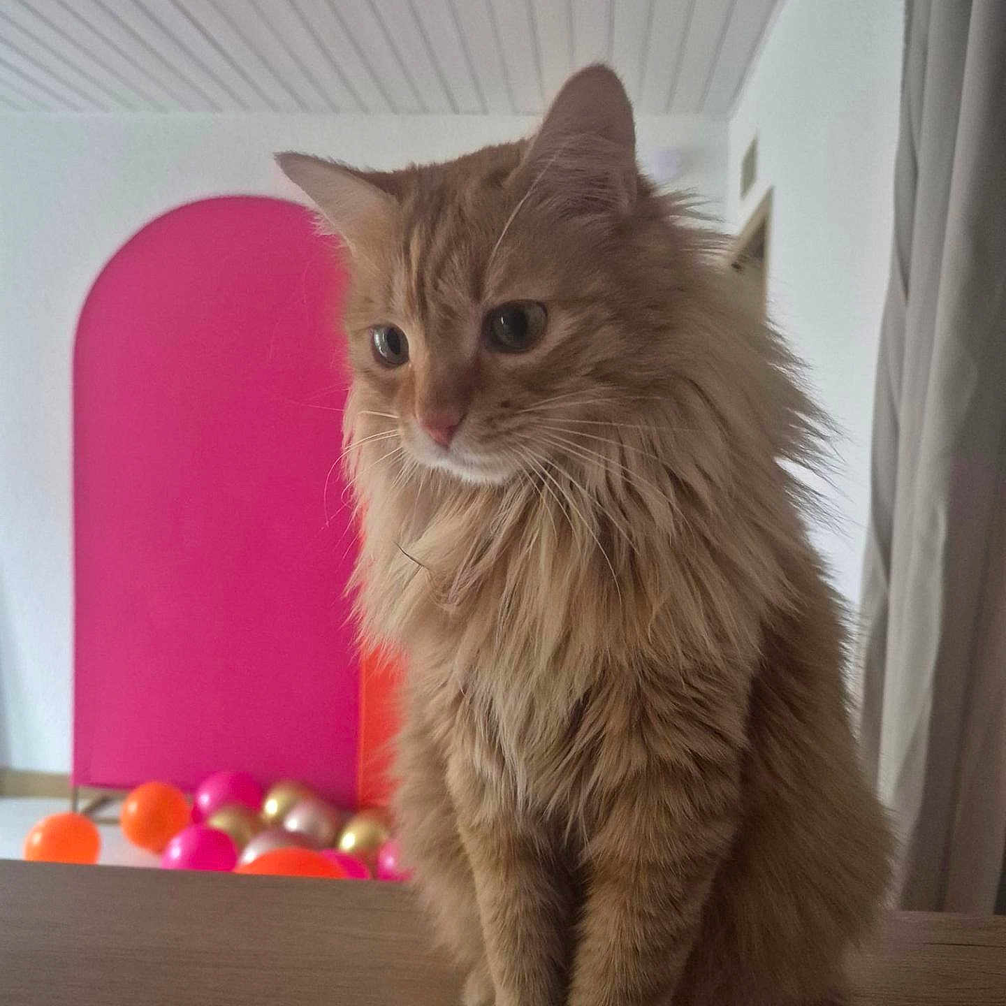 Simone