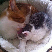 Cleo is registered to the contest to win money with this photo: