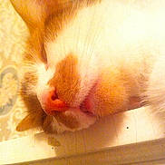Fanta is registered to the contest to win money with this photo: