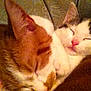 Fanta is registered to the contest to win money with this photo: