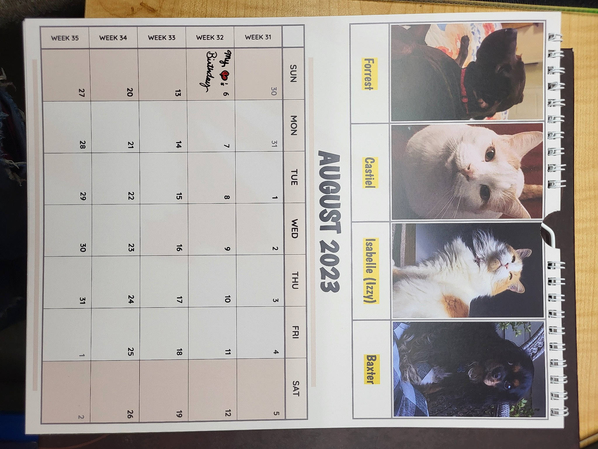 Castiel is registered to the contest to win money with this photo: calendar, font, indoor_games_and_sports, machine, number, paper, pattern, recreation, rectangle, room, technology