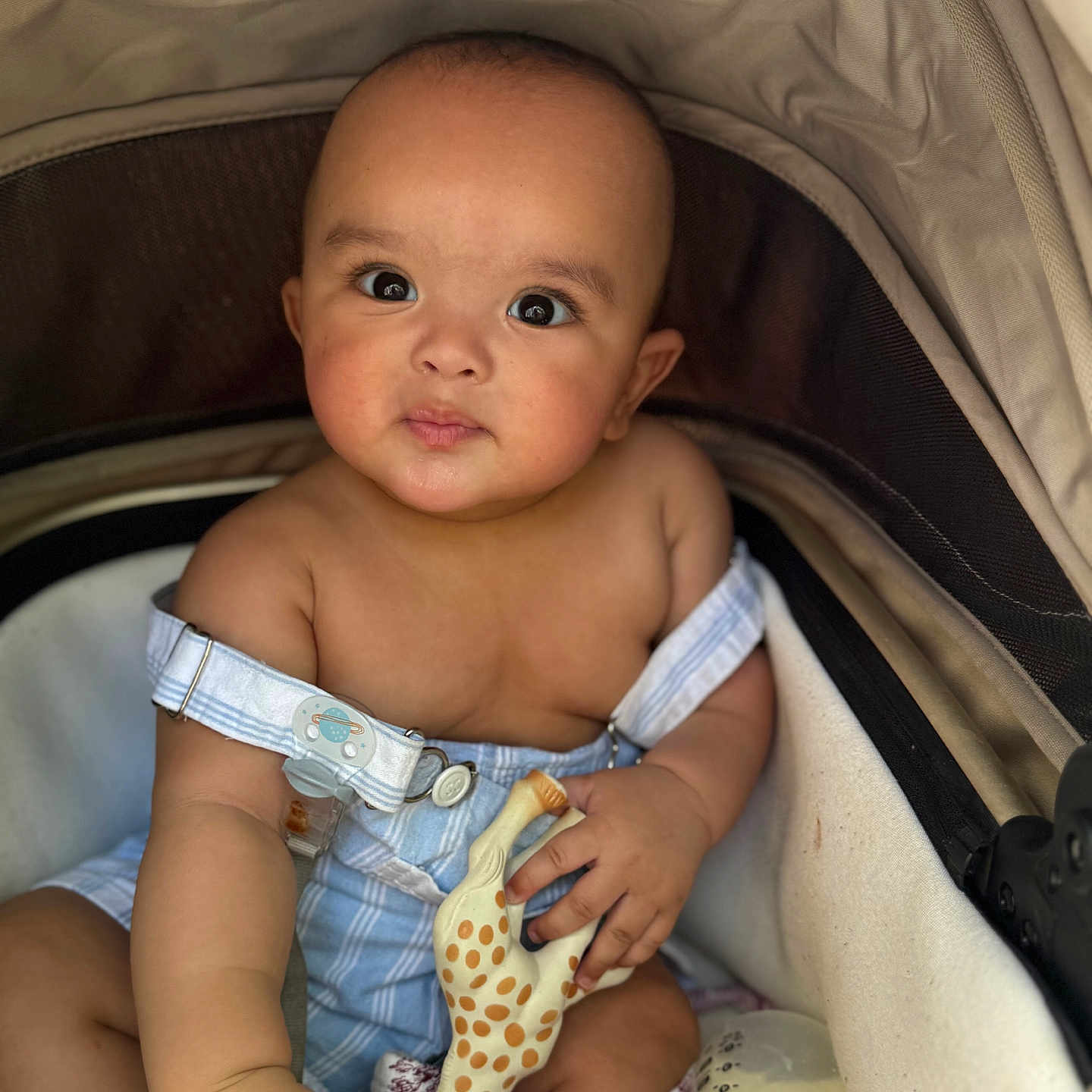 Ely joined the competition — help win amazing prizes! accessories, applique, baby, bed, belt, bodypart, bonnet, car, car_interior, carseat, clothing, couch, cradle, crib, cushion, diaper, dress, face, finger, furniture