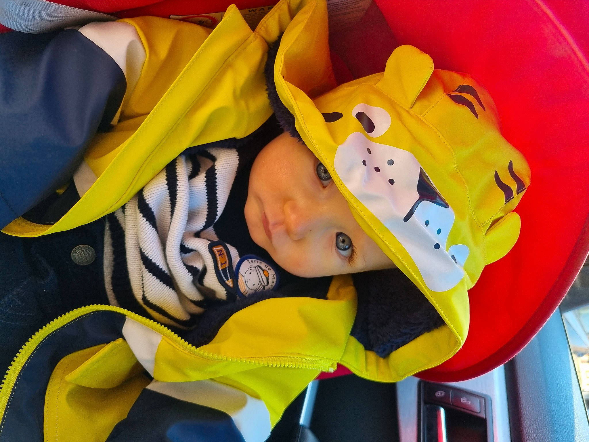 Jonathan participe au concours pour gagner de l'argent avec cette photo : baby, baseball_cap, cap, carmine, child, costume, costume_hat, facial_expression, fictional_character, fun, happy, hat, headgear, headwear, leisure, person, personal_protective_equipment, recreation, sun_hat, t_shirt