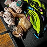 blanket, brown_dog, colorful_blanket, comfort, couch, cozy, dog, home, indoor, napping, paw, pet, plush_toy, relaxing, resting, sleeping, snuggling, soft_texture, stuffed_animal, wood_floor