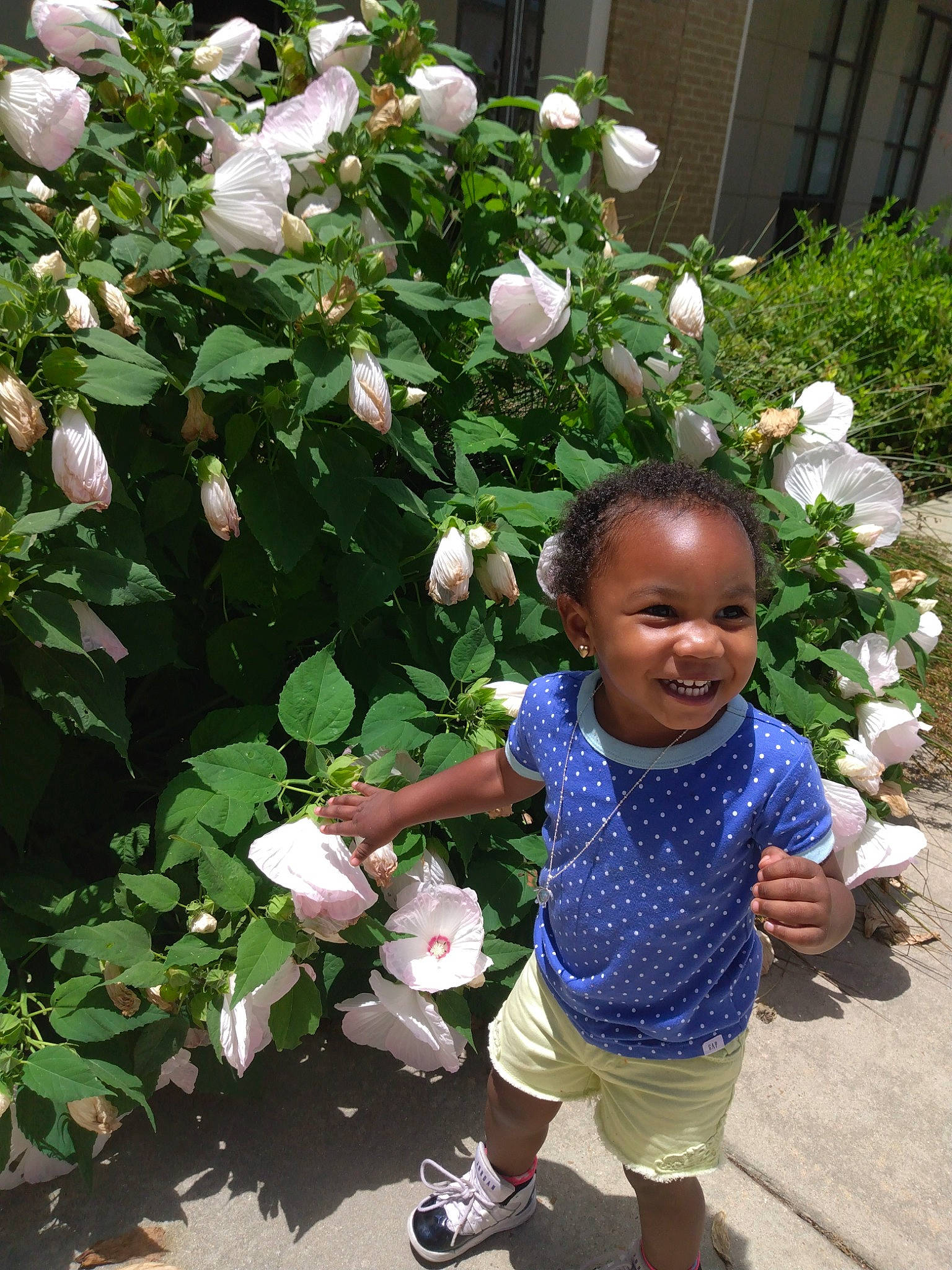 Mallori joined the competition — help win amazing prizes! baby_toddler_clothing, beauty, botany, flower, flowering_plant, green, happy, joy, leaf, person, petal, pink, plant, rose_family, rose_order, sandal, shorts, shrub, smile, toddler