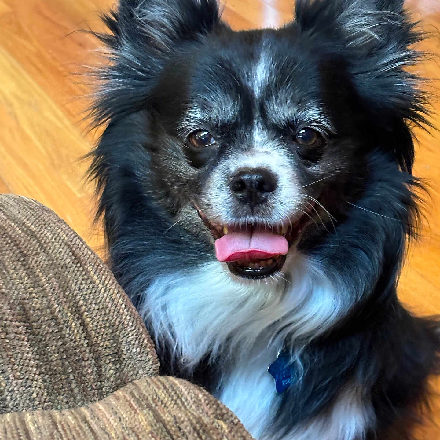 Murphy