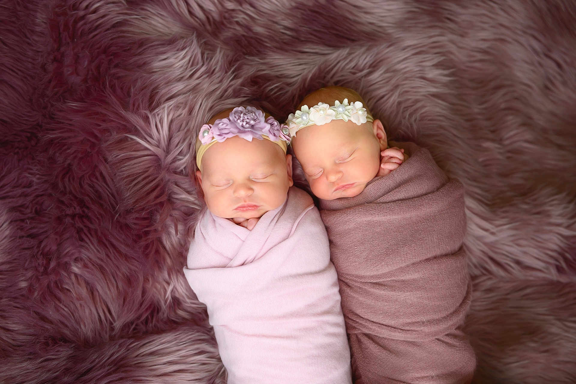 Leslie And Lettie is registered to the contest to win money with this photo: baby, newborn, twin_babies, swaddled, sleeping, headband, floral_headband, fur_blanket, plush, studio_photography, portrait, cute, pink, mauve, blanket, soft_texture, peaceful, indoor, two_people, infant