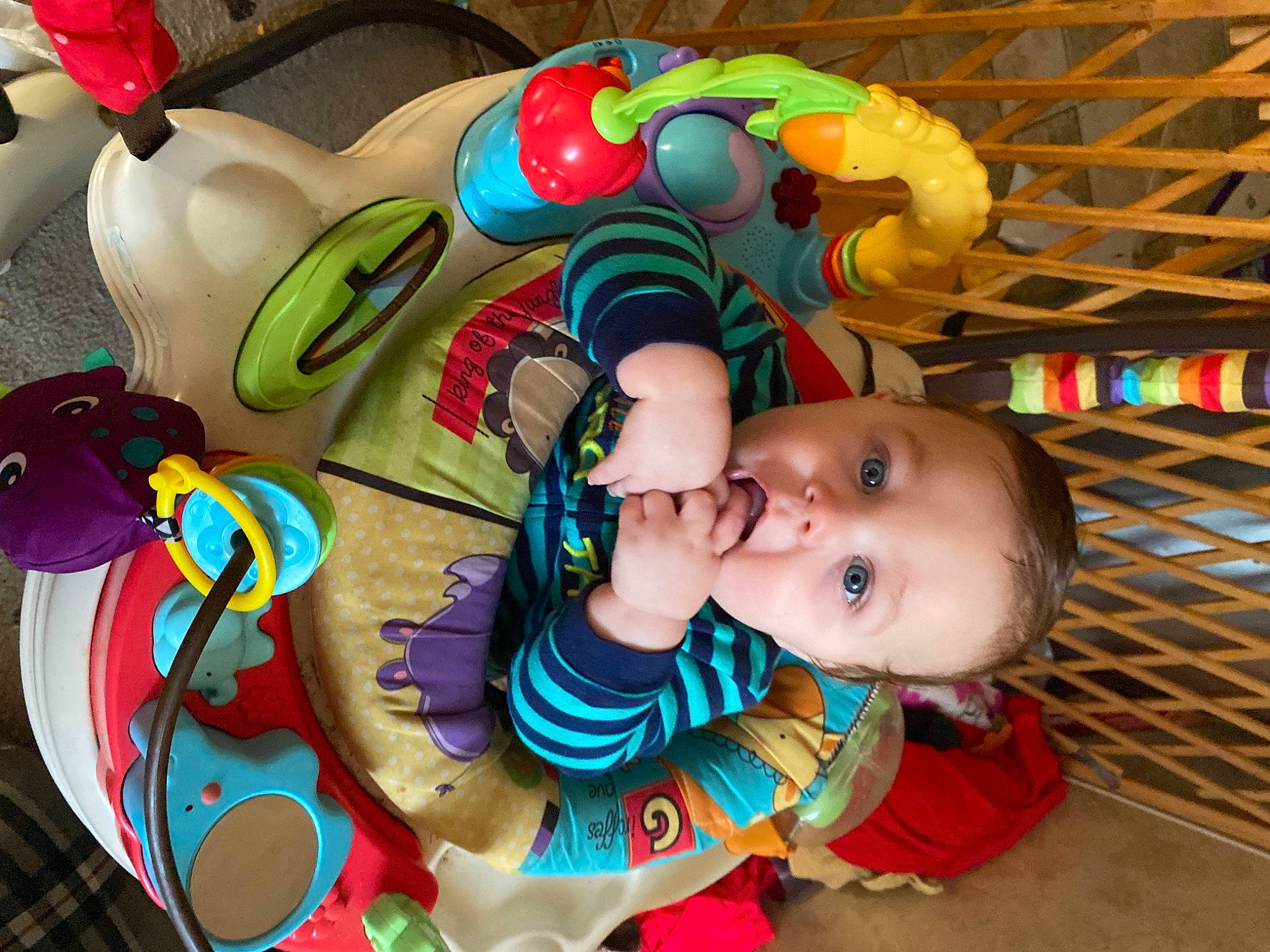 Douglas joined the competition — help win amazing prizes! baby, baby_products, baby_toys, child, fun, person, play, product, toddler, toy