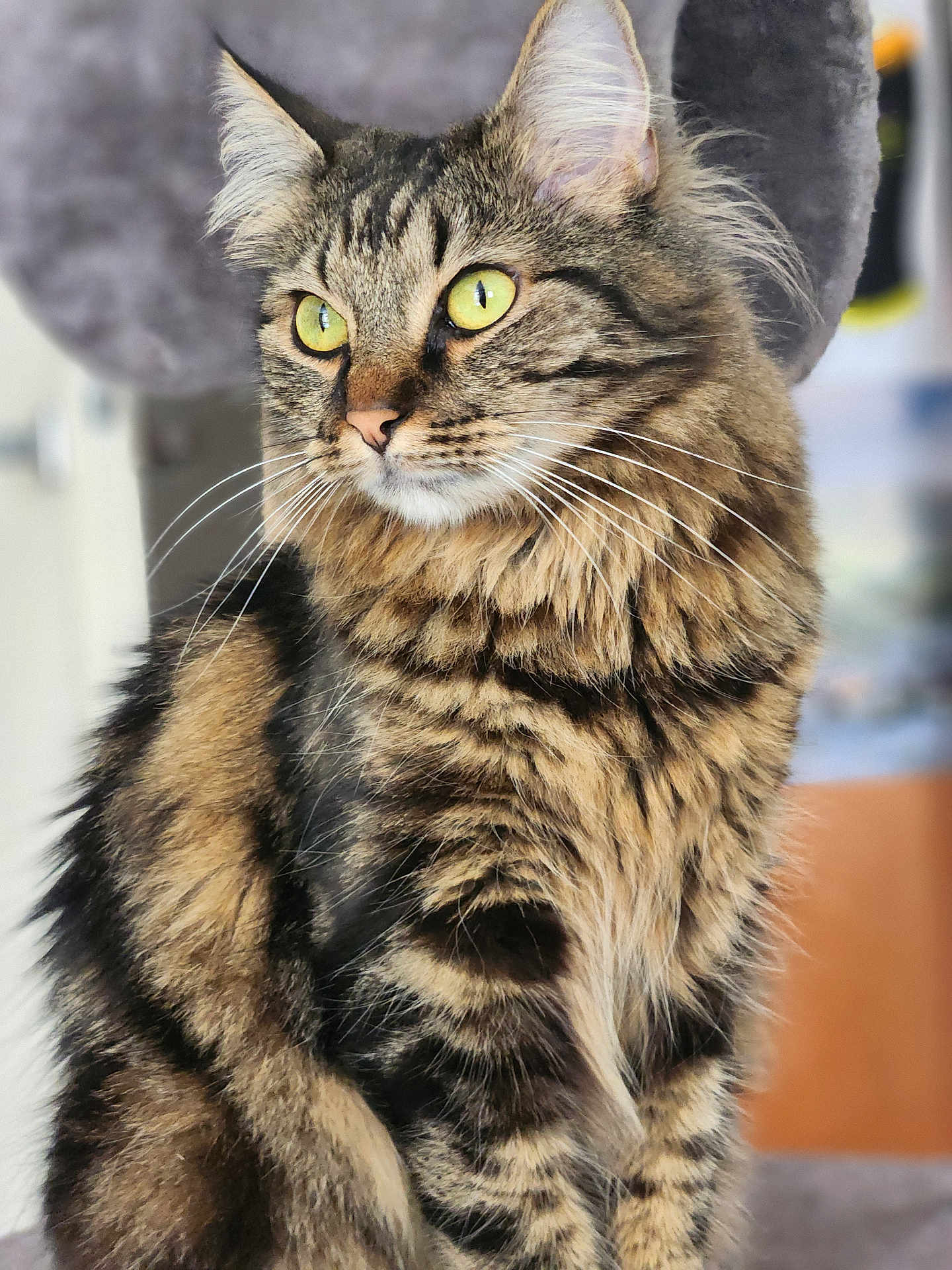 Mia