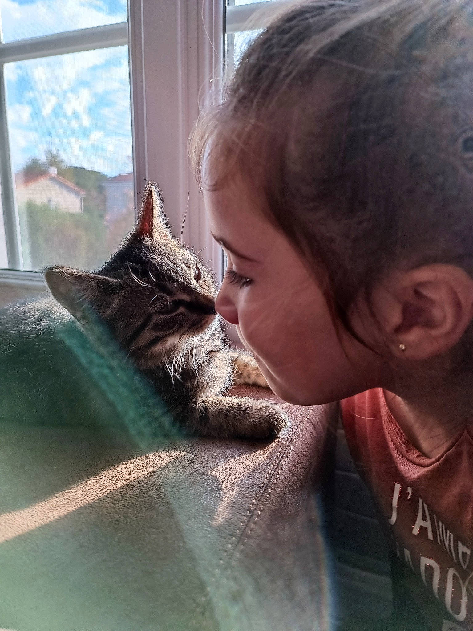 Tixy participe au concours pour gagner de l'argent avec cette photo : automotive_window_part, cat, comfort_food, curtain, domestic_short_haired_cat, facial_hair, felidae, fur, glass, happy, jaw, room, small_to_medium_sized_cats, vacation, whiskers, window, window_treatment, windshield