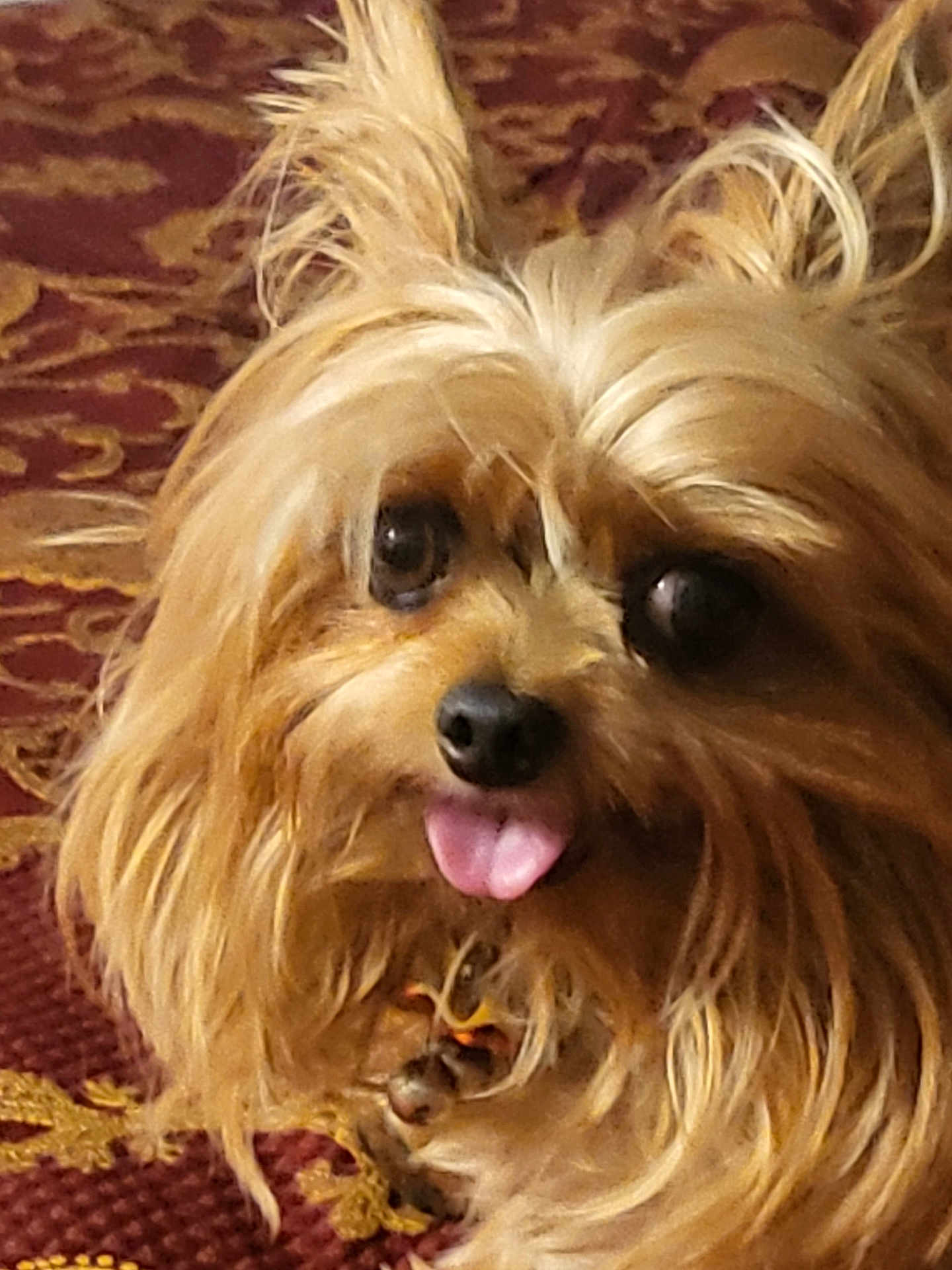 Jackson