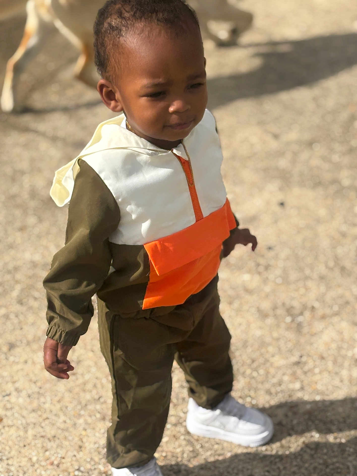Khylin joined the competition — help win amazing prizes! toddler, child, outdoor, clothing, jacket, pants, white_shoes, dog, gravel, sunlight, shadow, curious_expression, standing, casual, streetwear, young_child, person, fashion, daylight, playful