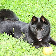 General a rejoint le concours — aidez-le/la à gagner de superbes lots !