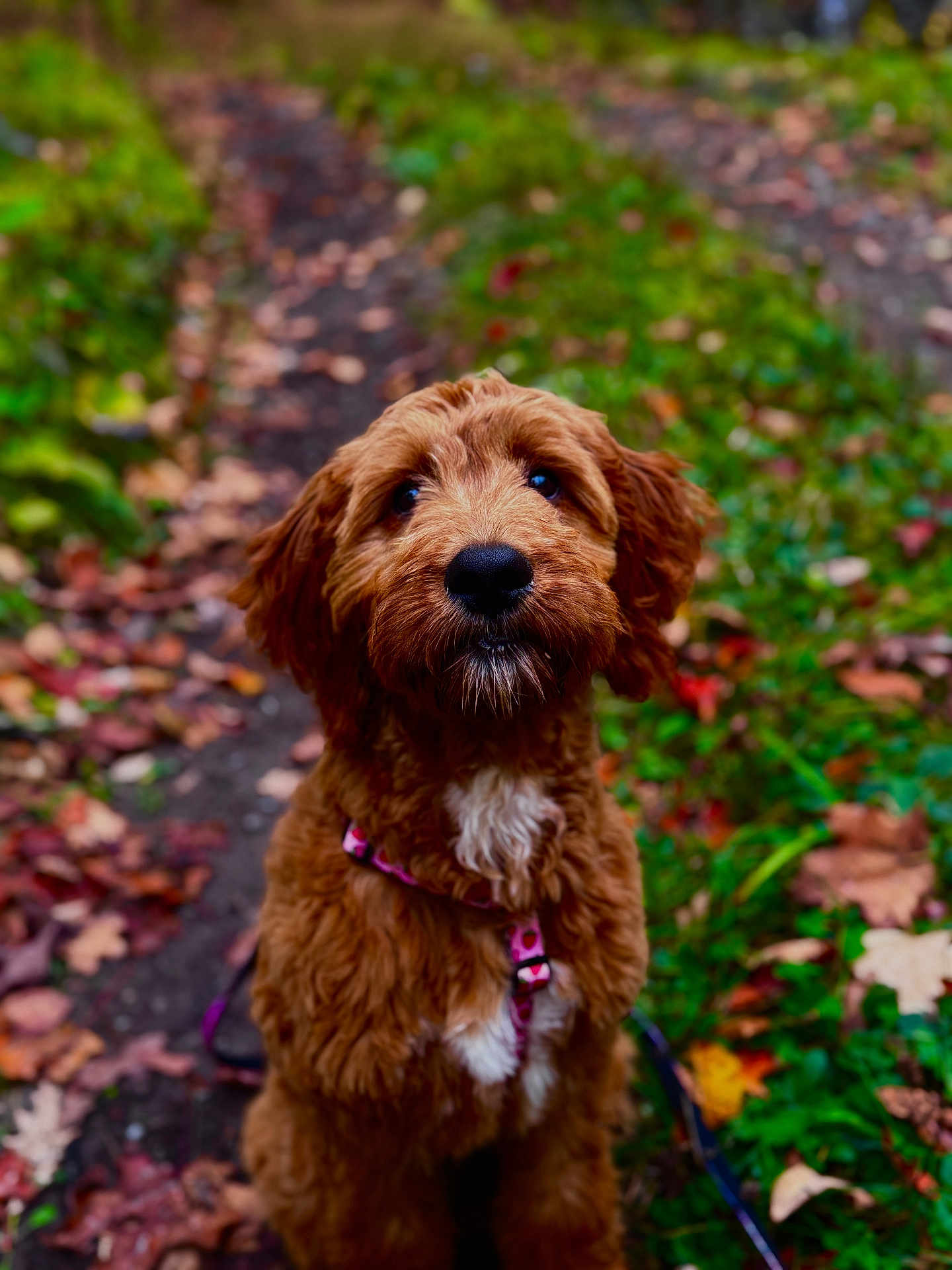 Winnie