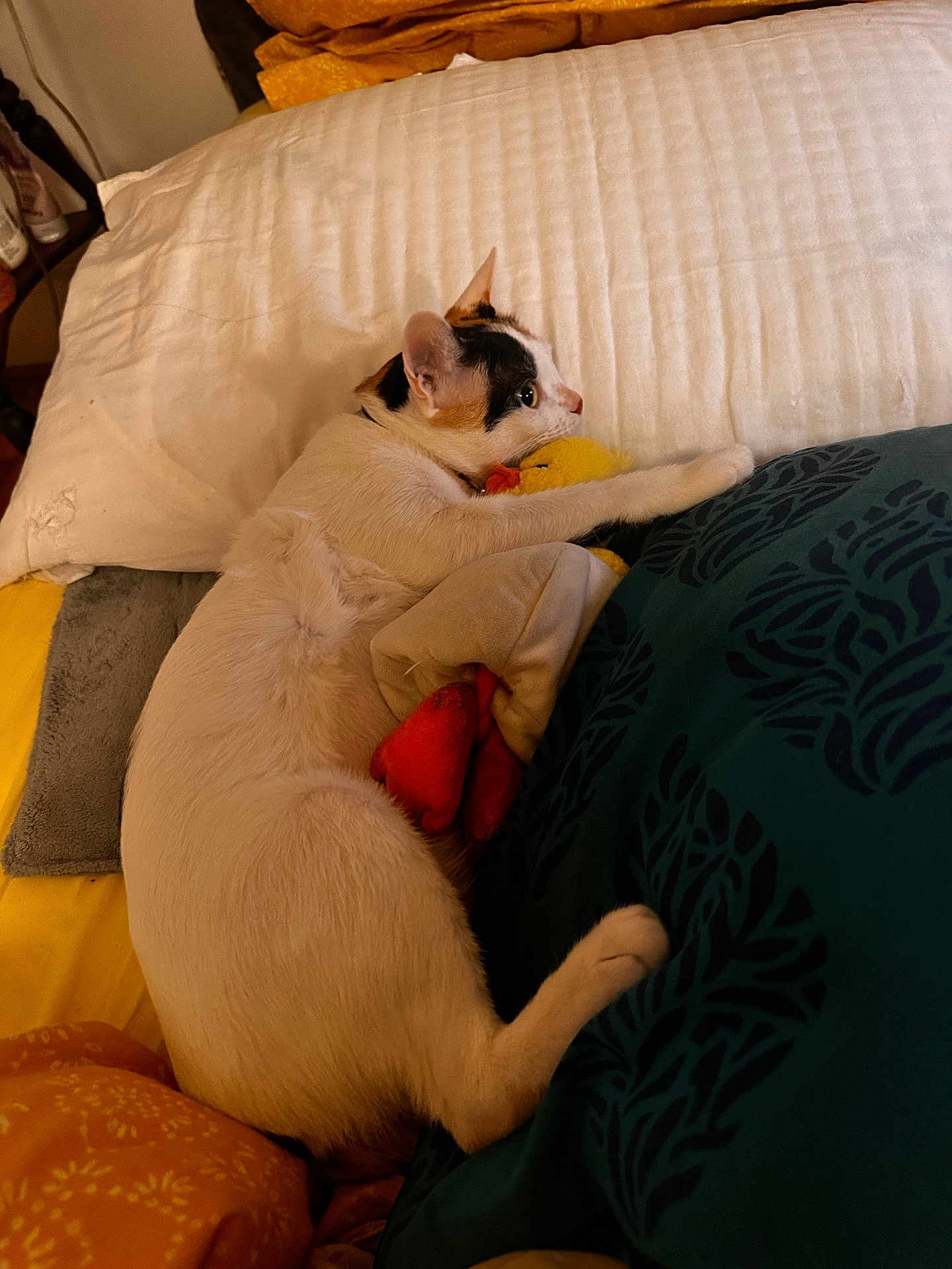 Billu