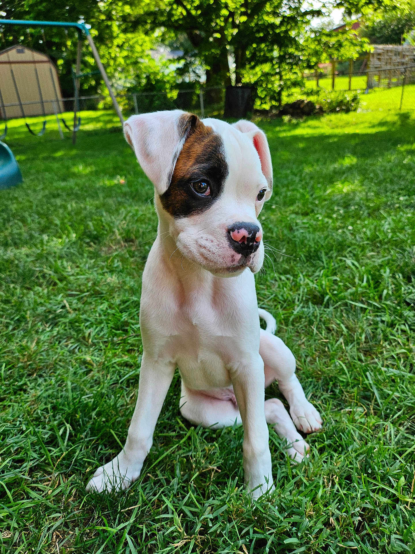 Chester