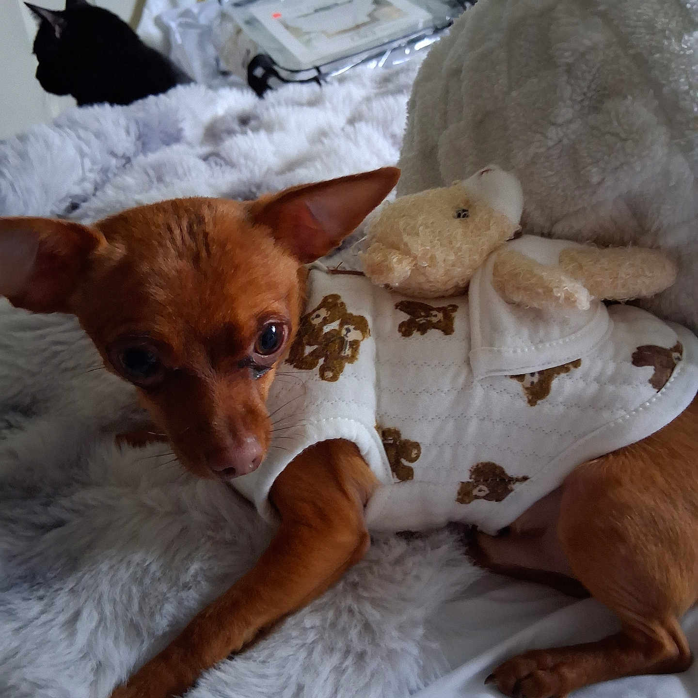 Milo