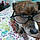 Odie