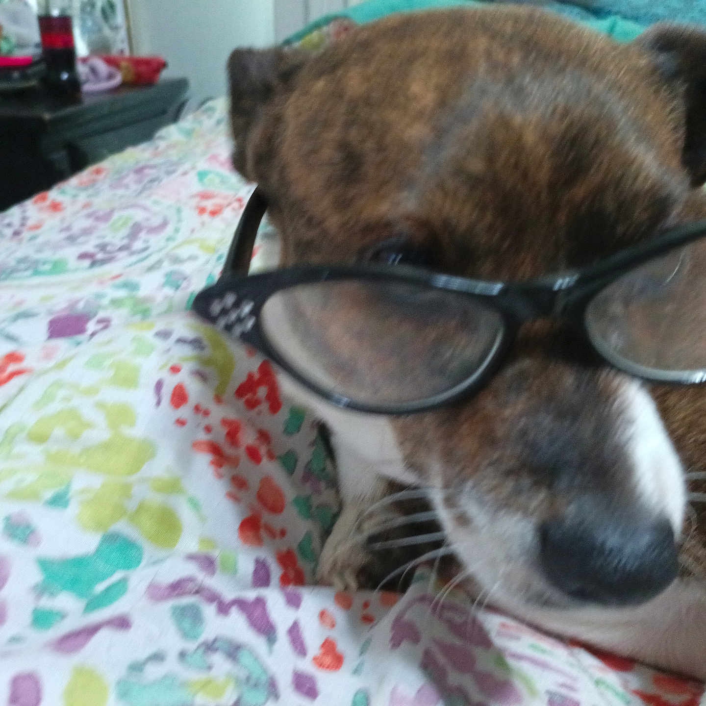 Odie